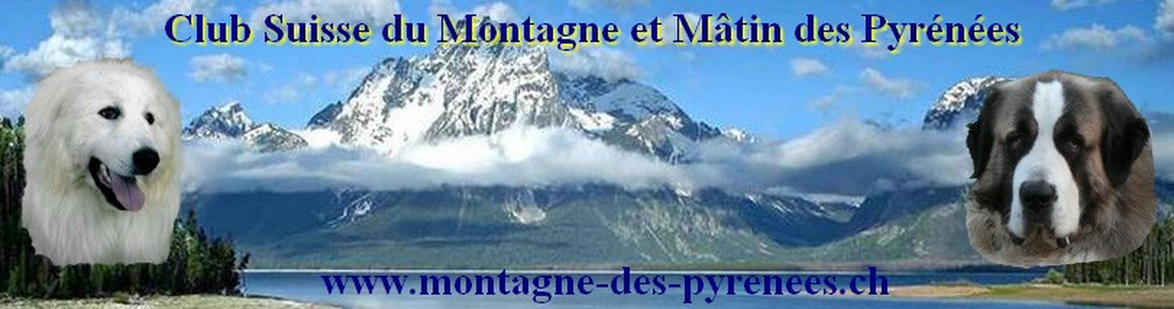 Bannière montagne nouveau logo définitive - Copie (29480361).jpg