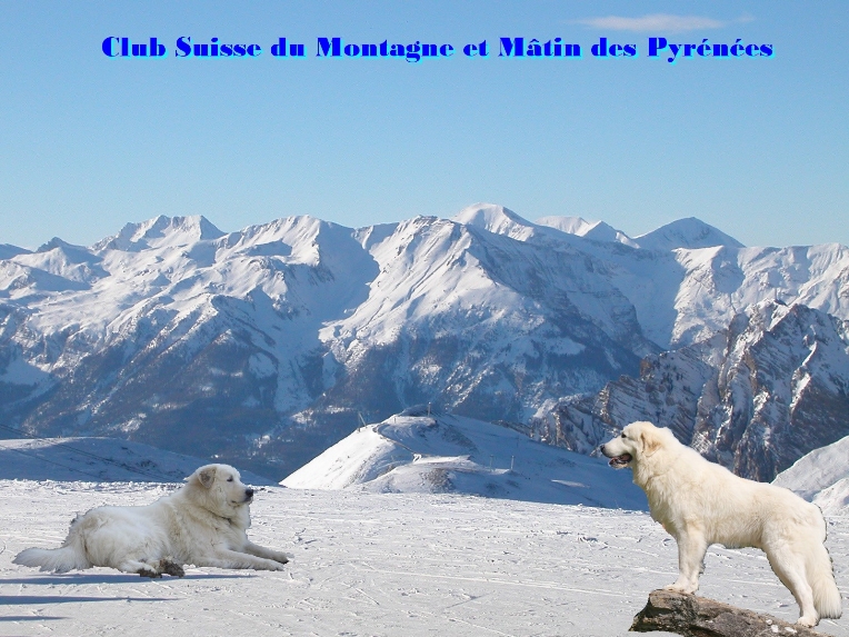 Club Suisse Montagne et Mtin des Pyrnes